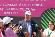 Moldovan fruit exports may halve in the new season