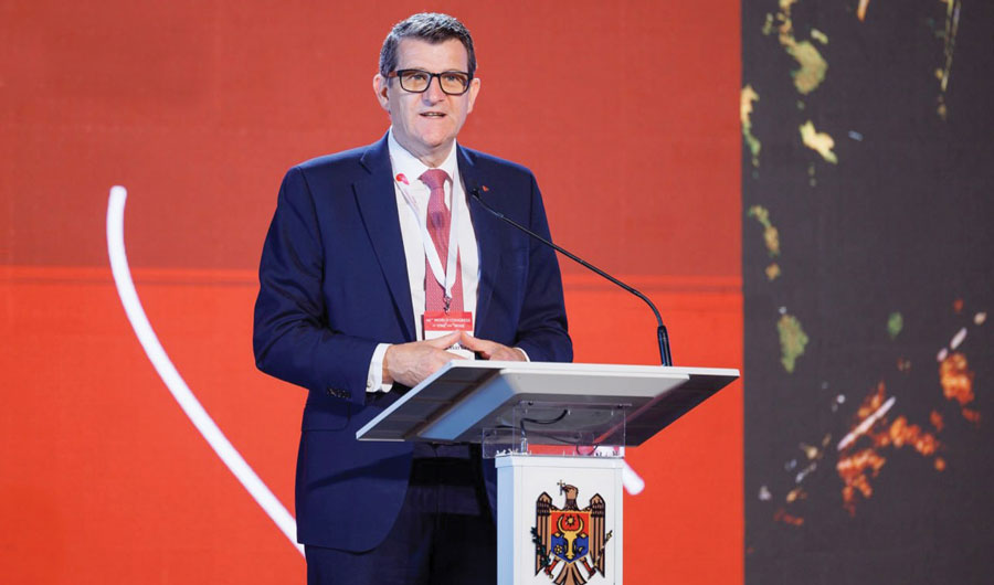 Piața mondială a vinului: mai puțin consum, prețuri mai mari