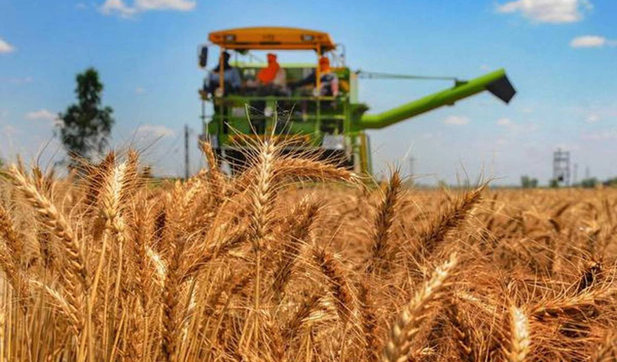 Materiile prime – baza exporturilor agroalimentare ale RM